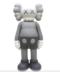 Companion (Grey)