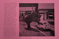 Untitled (Elephant and Real Estate)