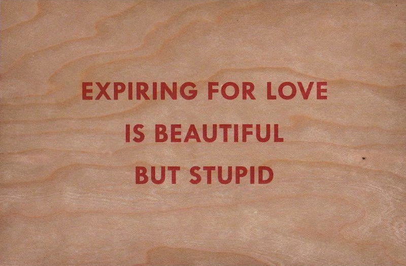 Expiring for Love is Beautiful But Stupid - Dovehouse Contemporary