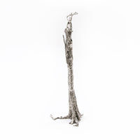 Pequi Tree