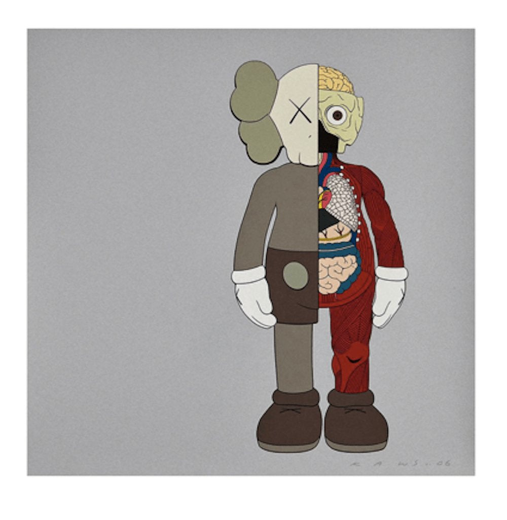 Dissected Companion (Brown) - My Store