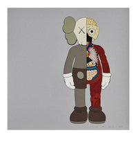 Dissected Companion (Brown)