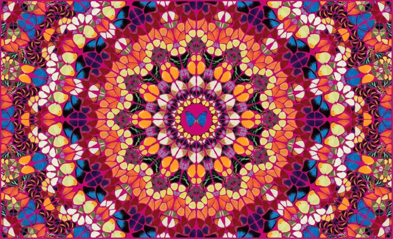 H18-3 Harlequin (The Kaleidoscopes) - Dovehouse Contemporary