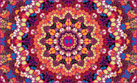 H18-3 Harlequin (The Kaleidoscopes)
