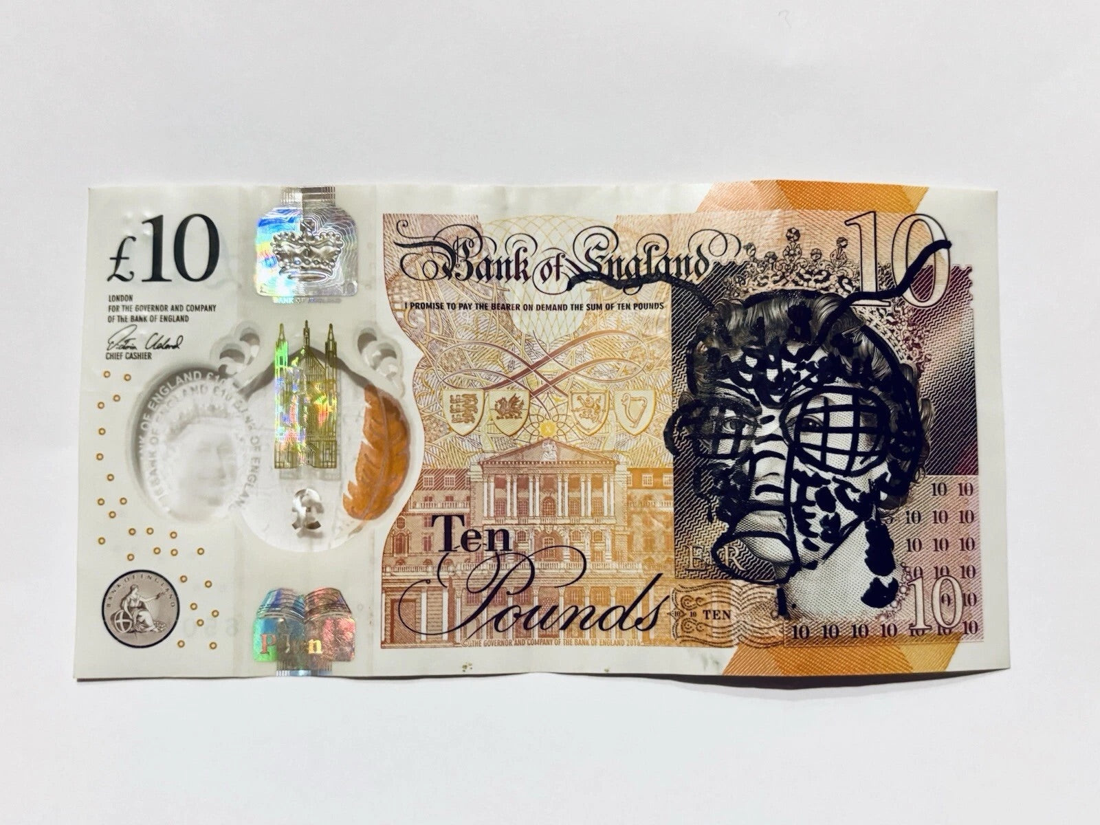 Pity Is Treason book by JAKE AND DINOS CHAPMAN, featuring a striking cover design and artistic illustrations.