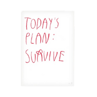 Today’s Plan